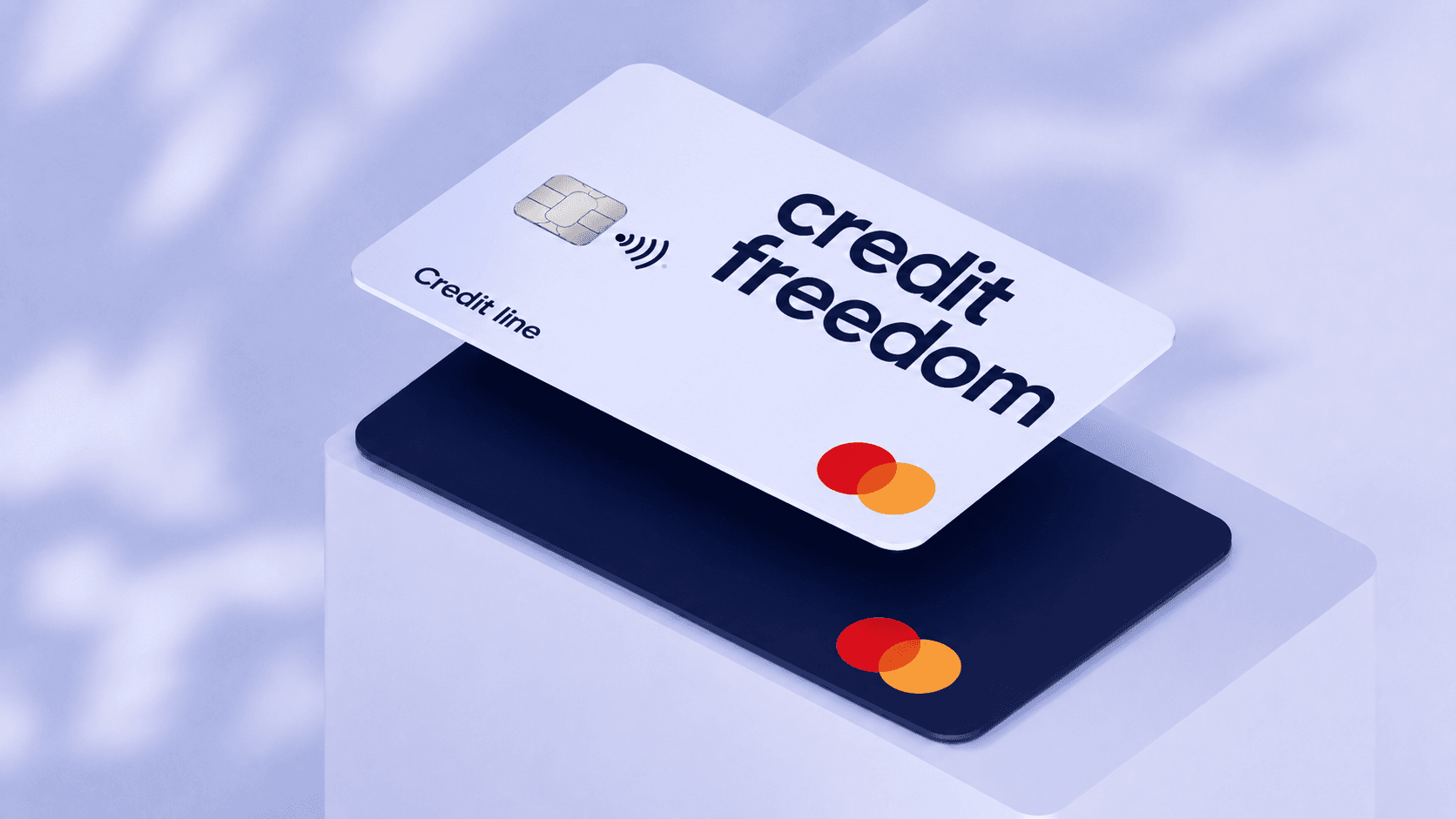 Credit Freedom Platform Overview